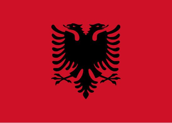 albania-suggeriamo-luso-di-bancali-pallet-casse-plastica