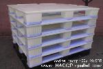 2-bancale-igienico-haccp-100x120-pianale-chiuso-idoneo-a-rack