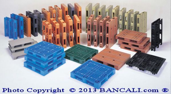 campioni e campionature di pallets o bancali