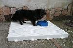 8-pedana-incastrabile-cm50x100-h8-calpestabile-a-piedi-nudi